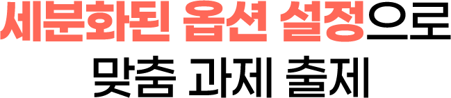 세분화된 옵션 설정으로 맞춤 과제 출제